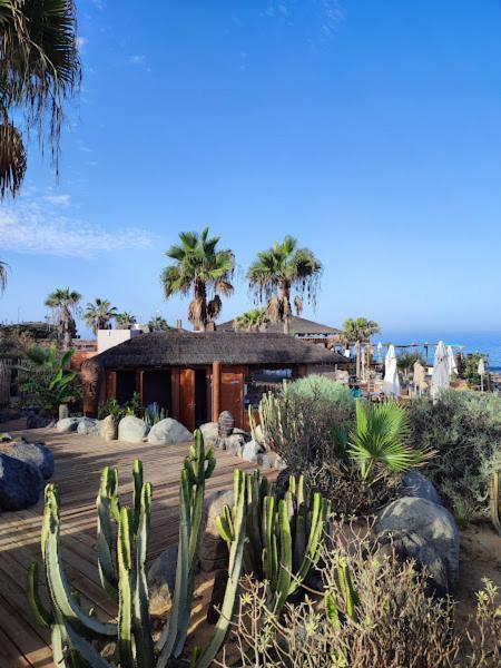 Margherita House Tenerife, Wonderful Ocean View Apartment Palm-mar Exterior foto