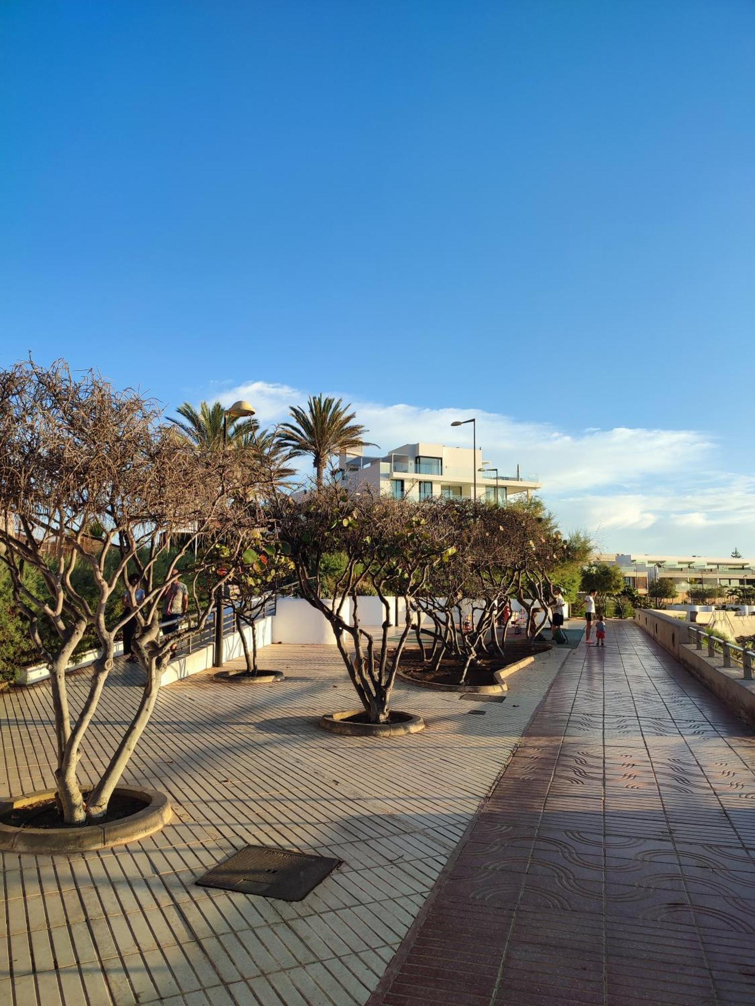 Margherita House Tenerife, Wonderful Ocean View Apartment Palm-mar Exterior foto