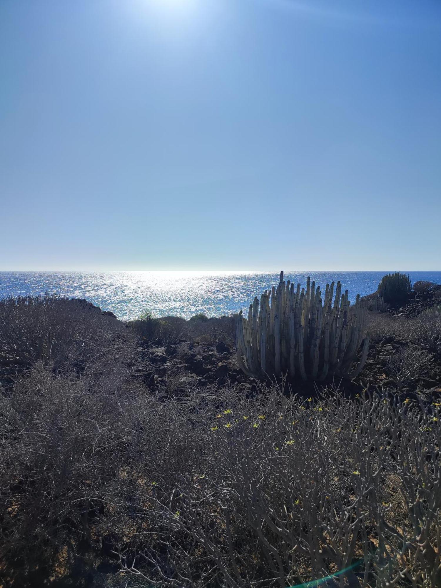 Margherita House Tenerife, Wonderful Ocean View Apartment Palm-mar Exterior foto